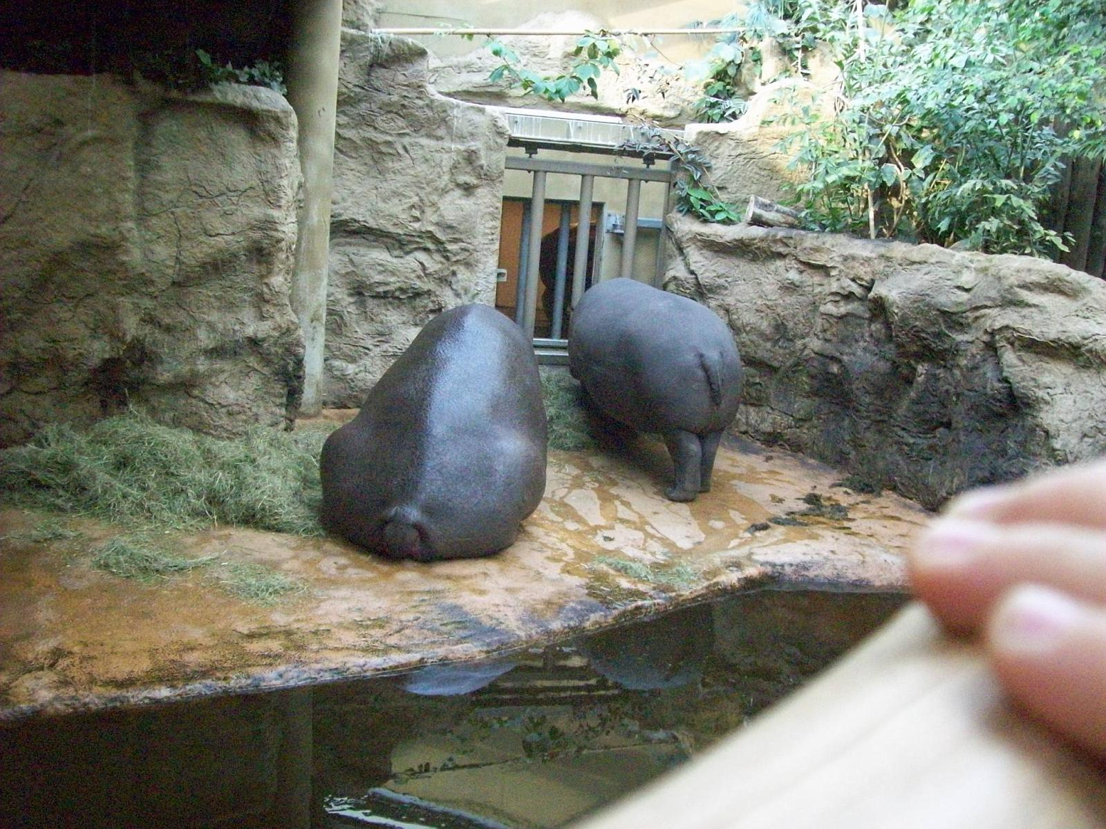 Zoom 18.10.2008-193.jpg